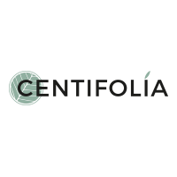 CENTIFOLIA