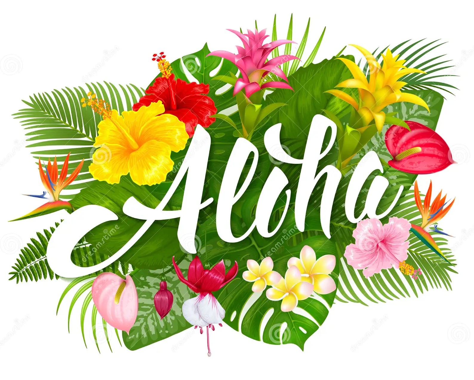 Aloha